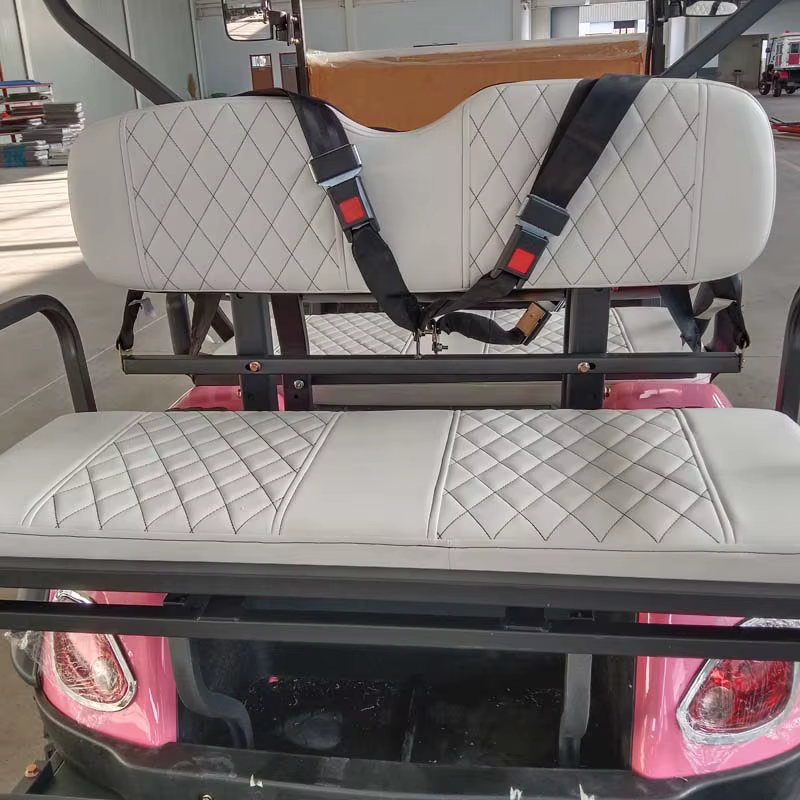 2 4 6 Seater Electric Golf — image 5