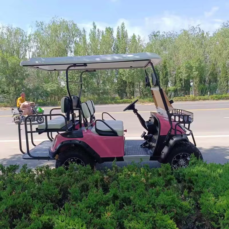 2 4 6 Seater Electric Golf — image 6