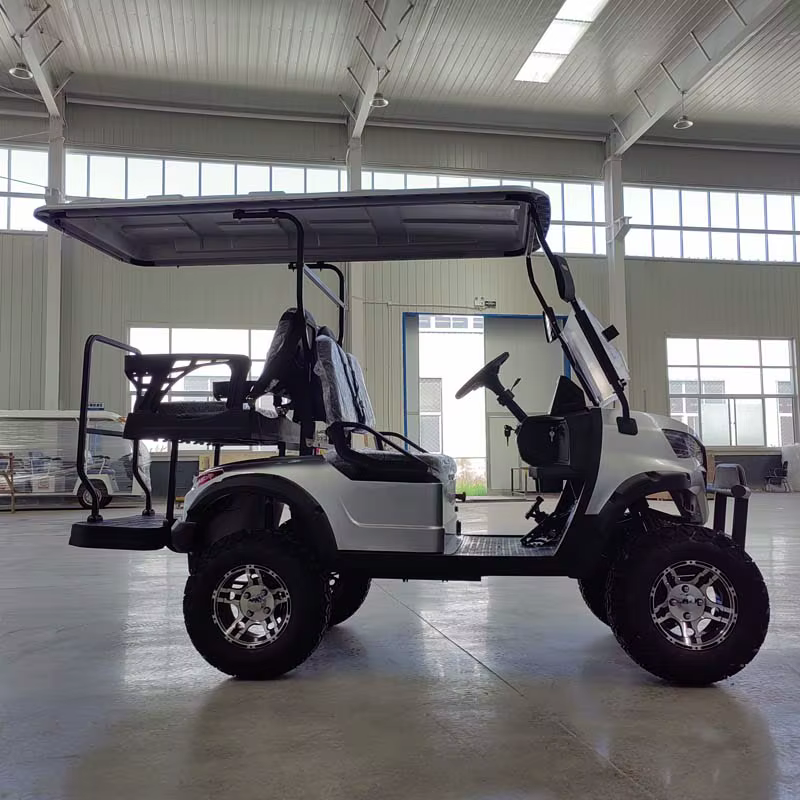 Original Brand New 48V For Sale — image 3