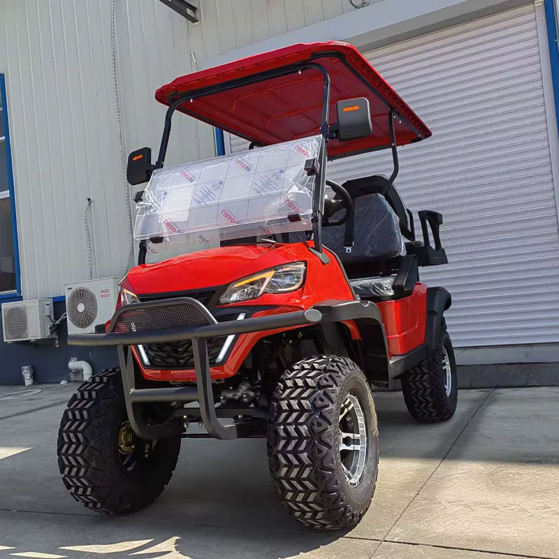 Qifan 2024 Hot Sale Electric 72v — image 3