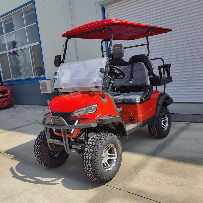 Qifan 2024 Hot Sale Electric 72v — image 4