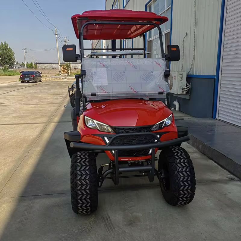 Qifan 2024 Hot Sale Electric 72v — image 5