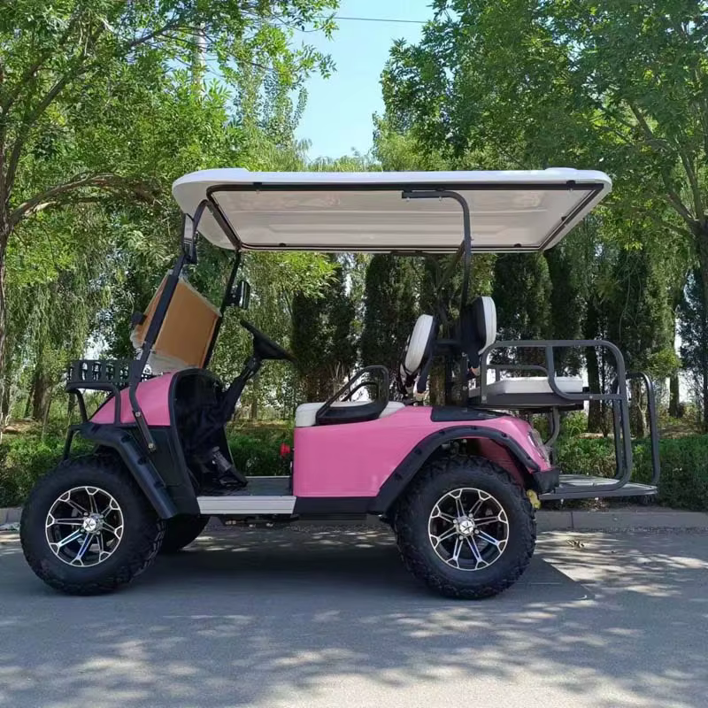 Hot Sell Electric 4x4 Utv With — image 2