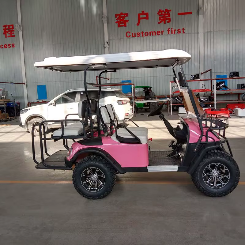 Hot Sell Electric 4x4 Utv With — image 3