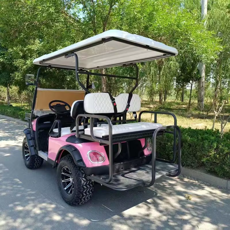 Hot Sell Electric 4x4 Utv With — image 4