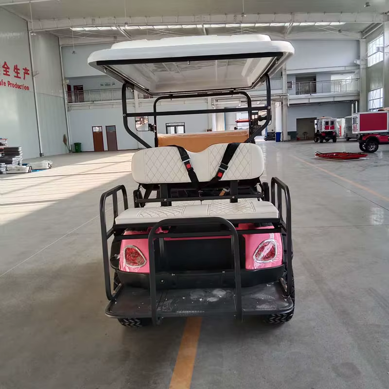Hot Sell Electric 4x4 Utv With — image 5