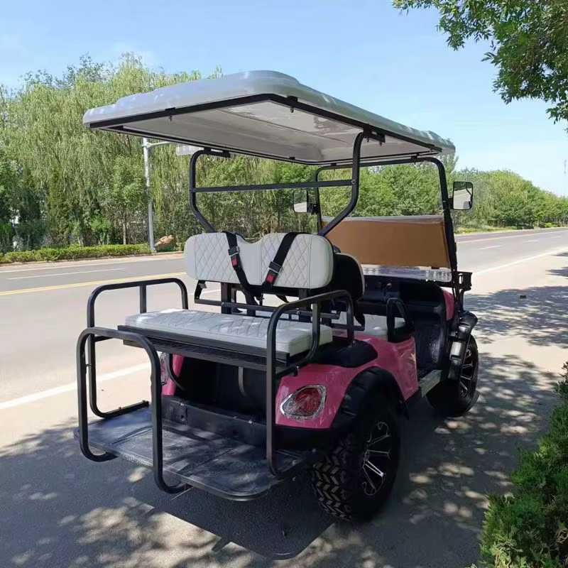 Hot Sell Electric 4x4 Utv With — image 6
