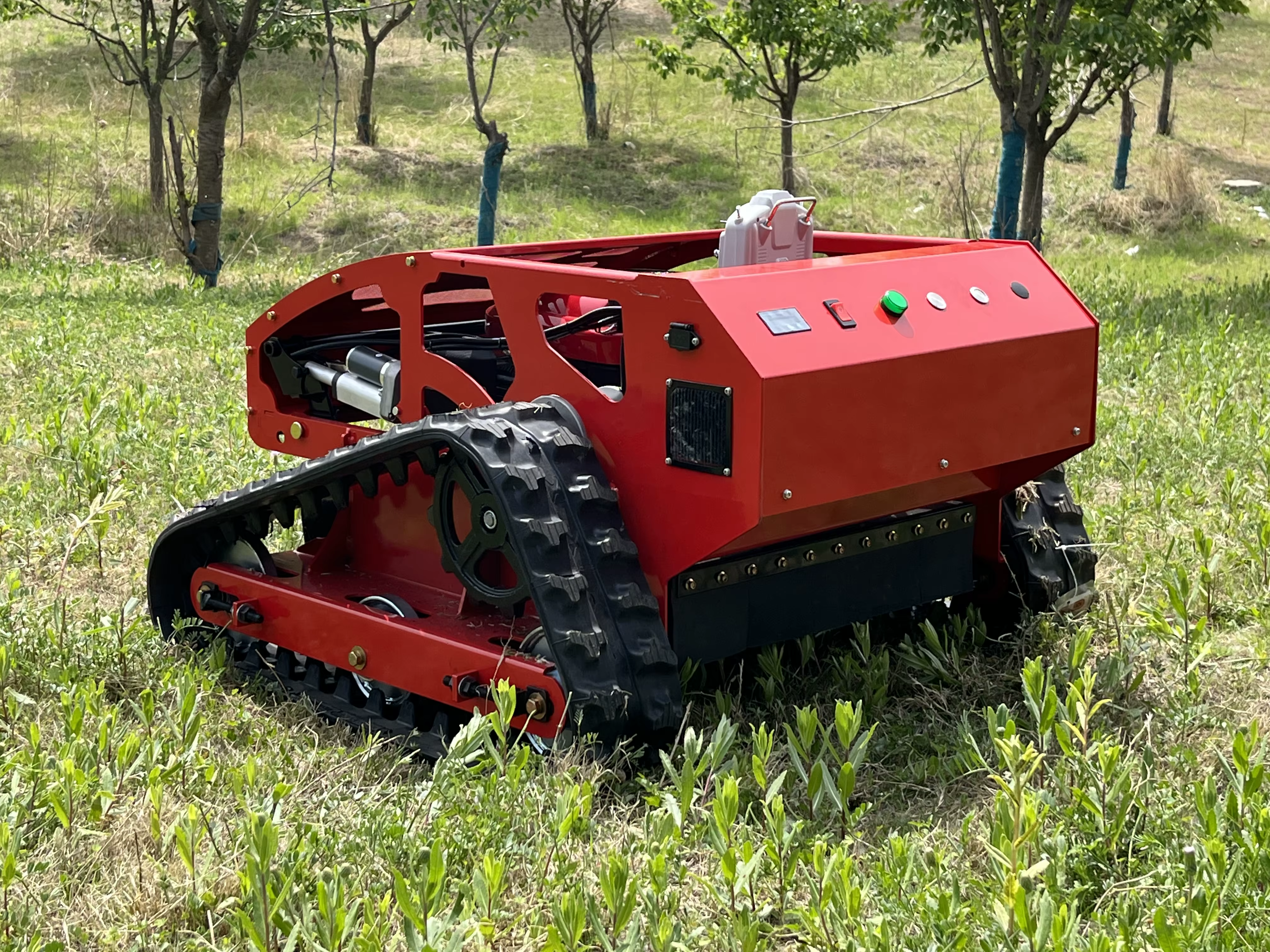 New Trend Petrol Remote Control Industrial — image 2