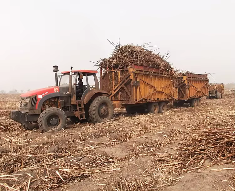 China Official Manufacturer Agriculture Tractor KAT1454 — image 4