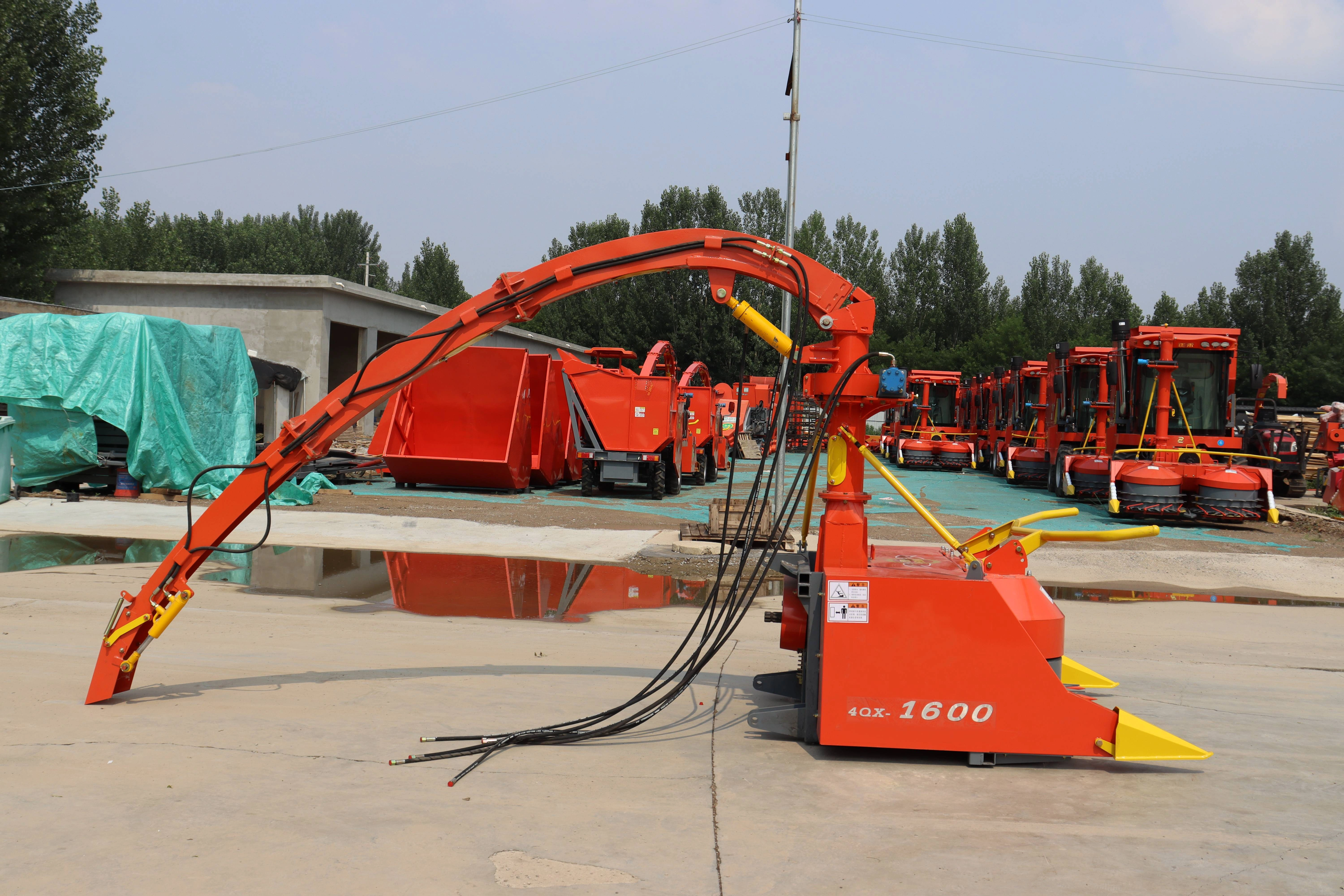 Double Rows Agricultural Green Forage Harvester — image 4