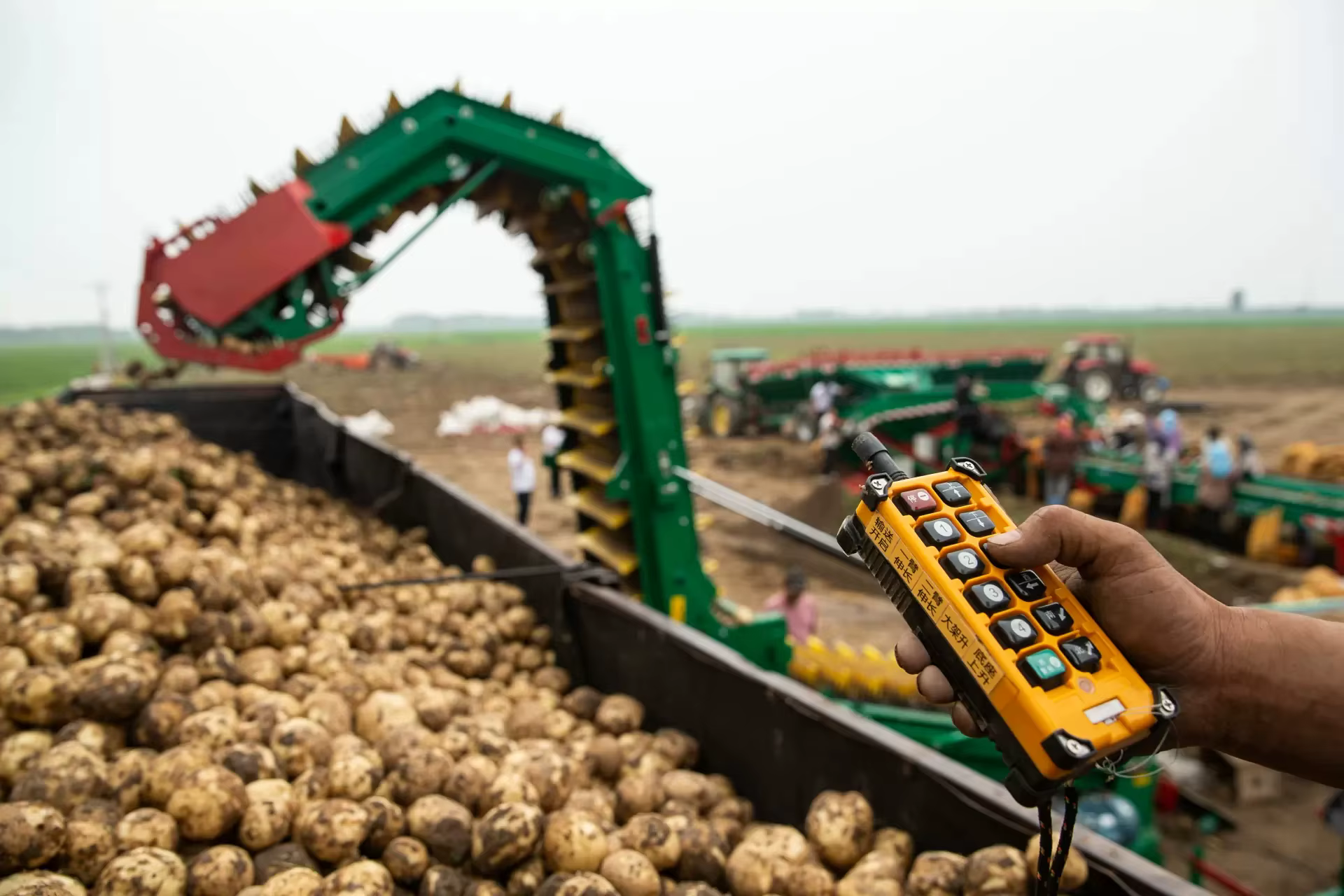 Performance Remarkable Farm Onion Carrot Sweet Potato Loader — image 5