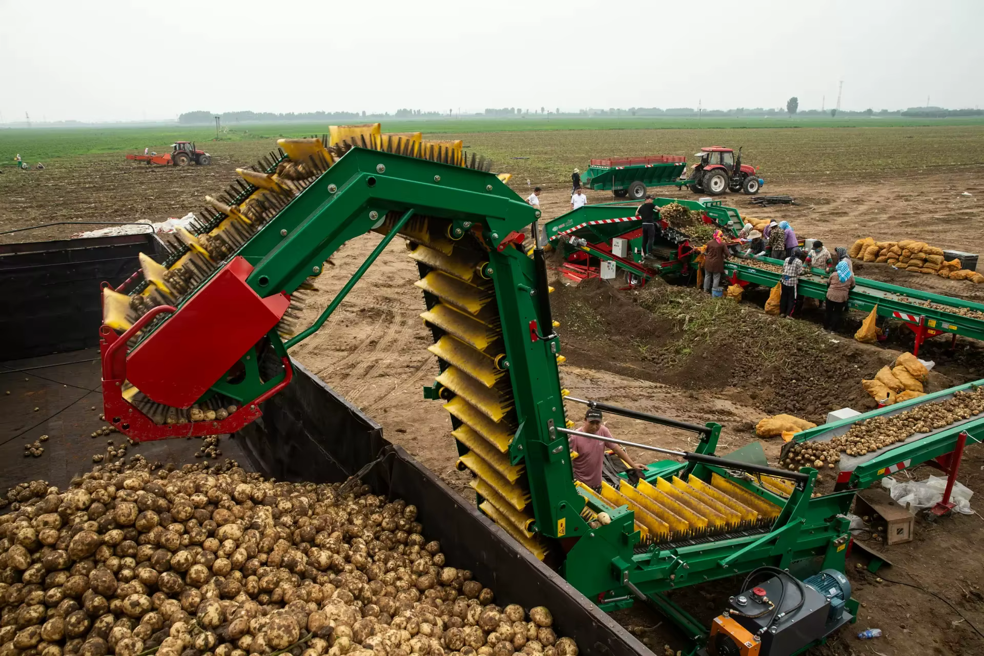 Performance Remarkable Farm Onion Carrot Sweet Potato Loader — image 6