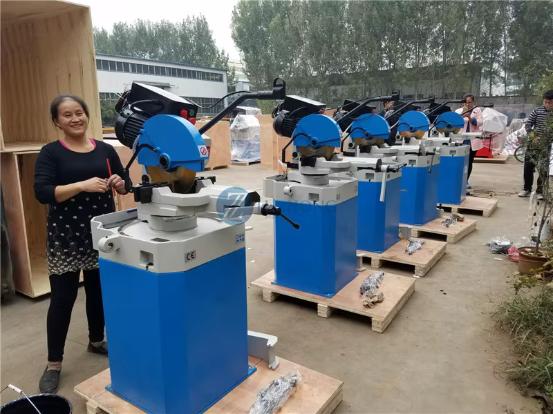 China Band Saw CS 250 Electric — image 3
