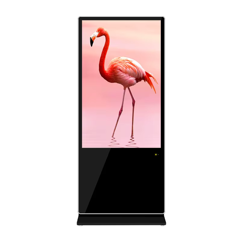 Floor Standing Advertising Kiosk 43 Inch — image 5