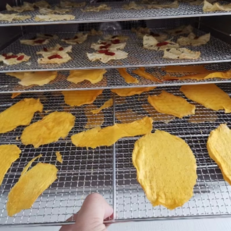 80 Trays Industrial Dehydrator Machine High — image 3