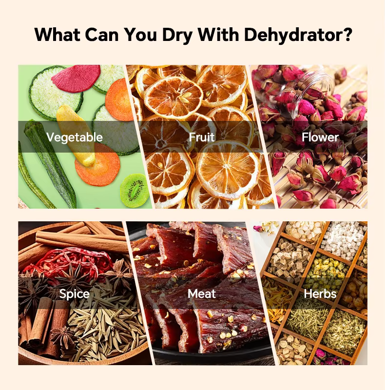OEM Factory Supply Wholesale 20 Trays Food Drying Machine  Supplier Fruits Vegetables Jerky Dehydrator Food Dehydrator — image 5