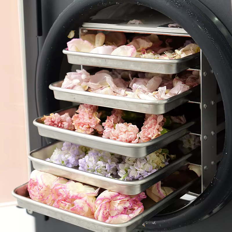 DALLE Stainless Steel 6 Trays Home Use 10kg Freeze Dryer Machine Set for Food — image 3