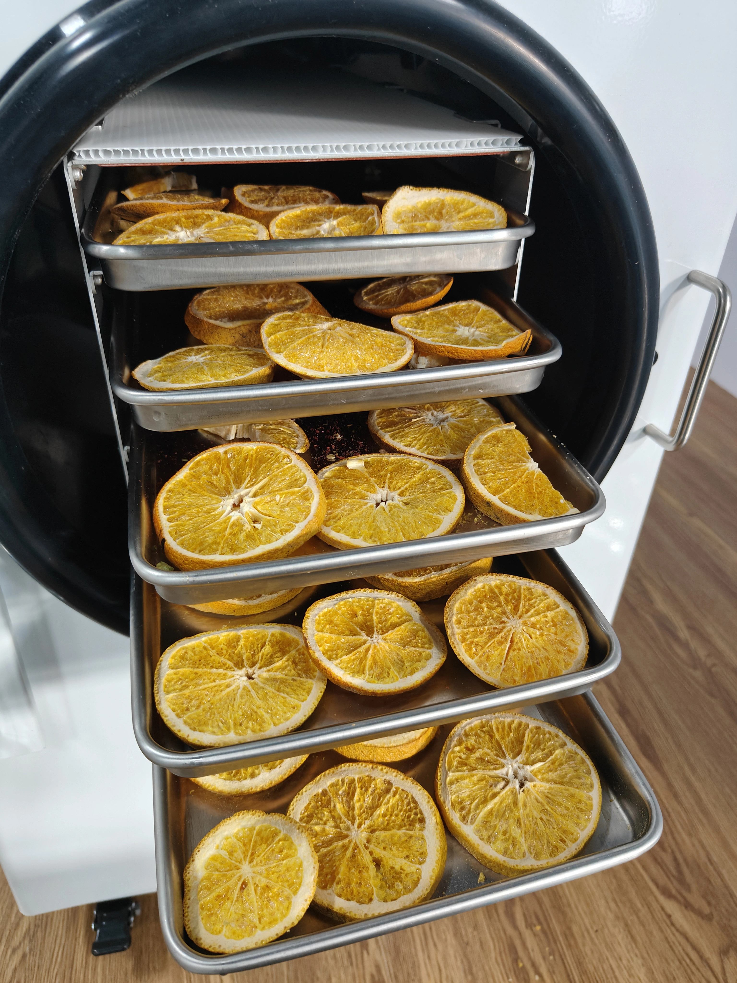 4kg Fruit Liofilizador Machine Price Small Mini Vacuum Freeze Drying Equipment Home Food Freeze Dryer — image 3