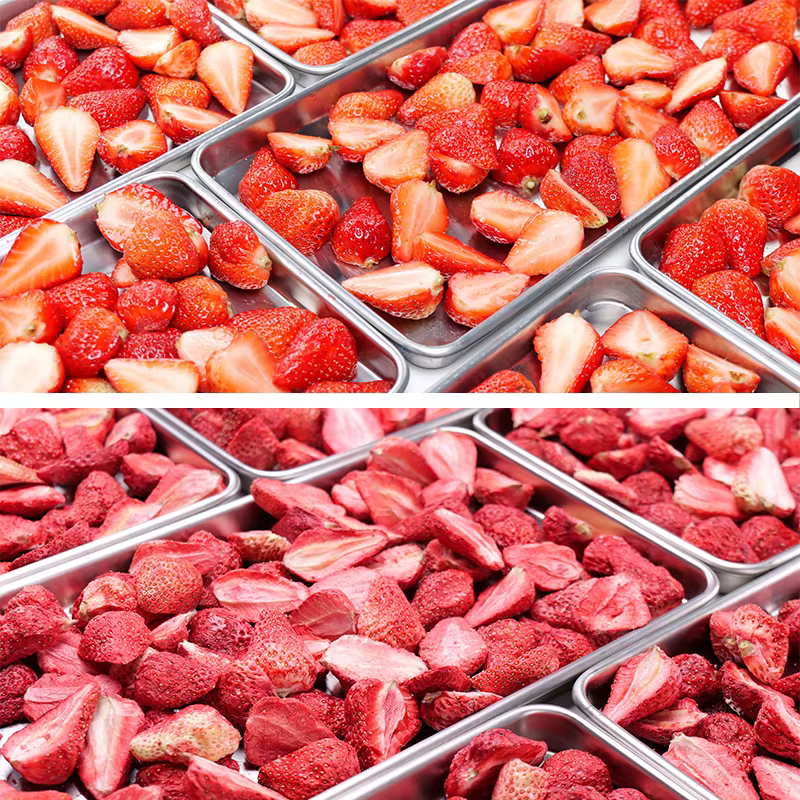 Vacuum Freeze Dryer 20kg Freeze Dryer for Fruit Vegetable Lyophilizer Freeze Drying Machine — image 4
