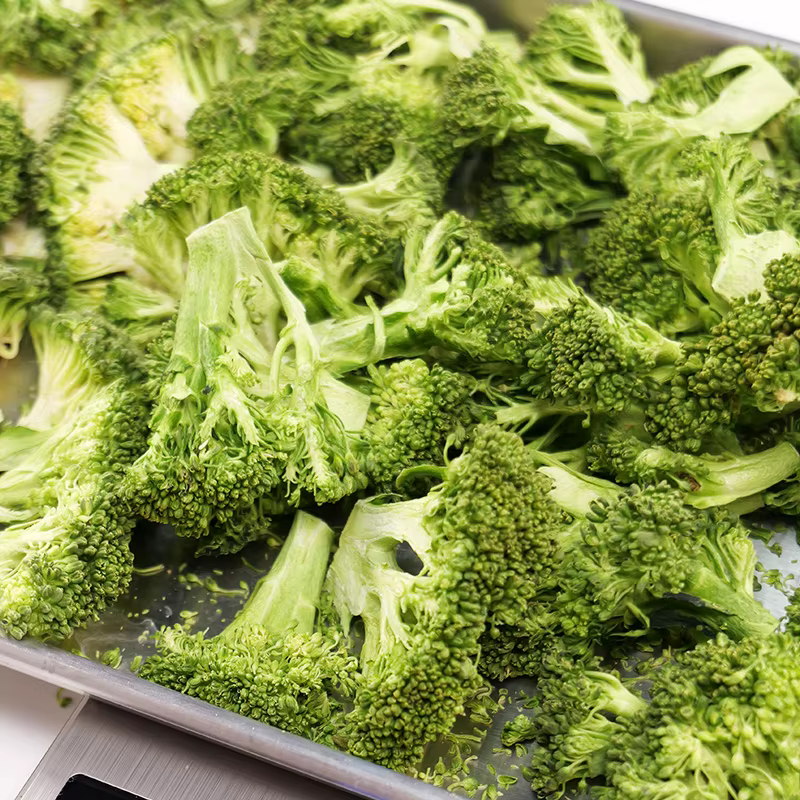 10kg Freeze Dryer Equipment Vegetable Medium Freeze Dryer Harvester Right Freeze Dryer — image 6