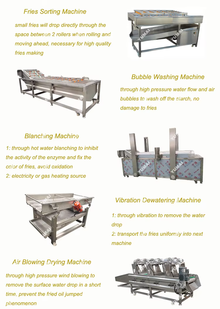 300kgh 500kgh Gas Heating Fully Automatic IQF Freezer Tunnel Frozen French Fries Making Production Line — image 4
