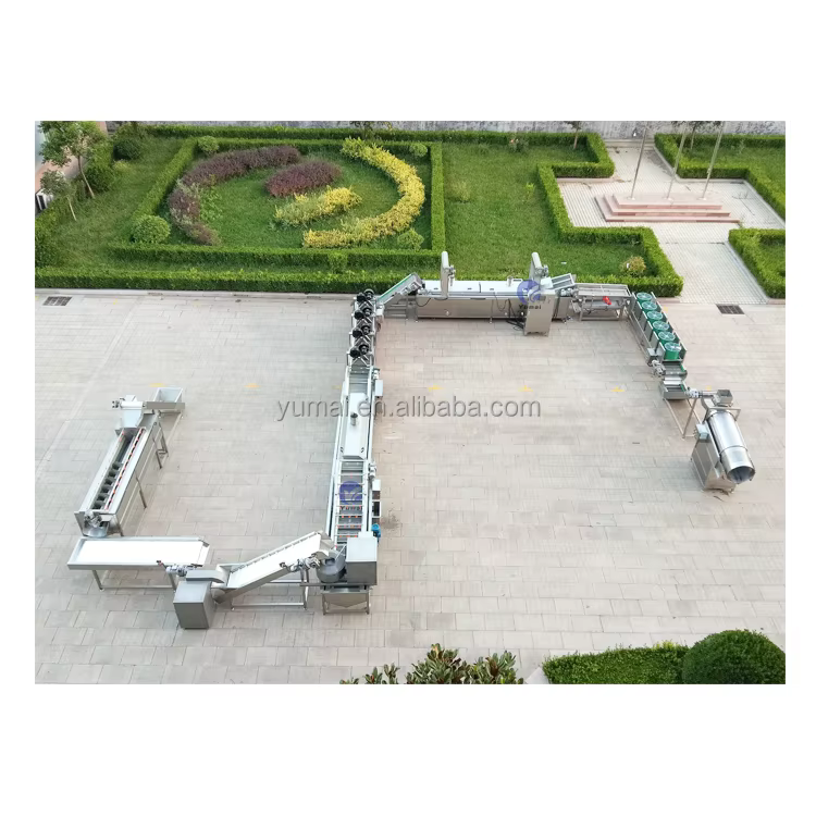 100kg 300kg 500kg 1000kg Full Automatic SUS 304 Frozen French Fries Making Machine Production Line — image 2