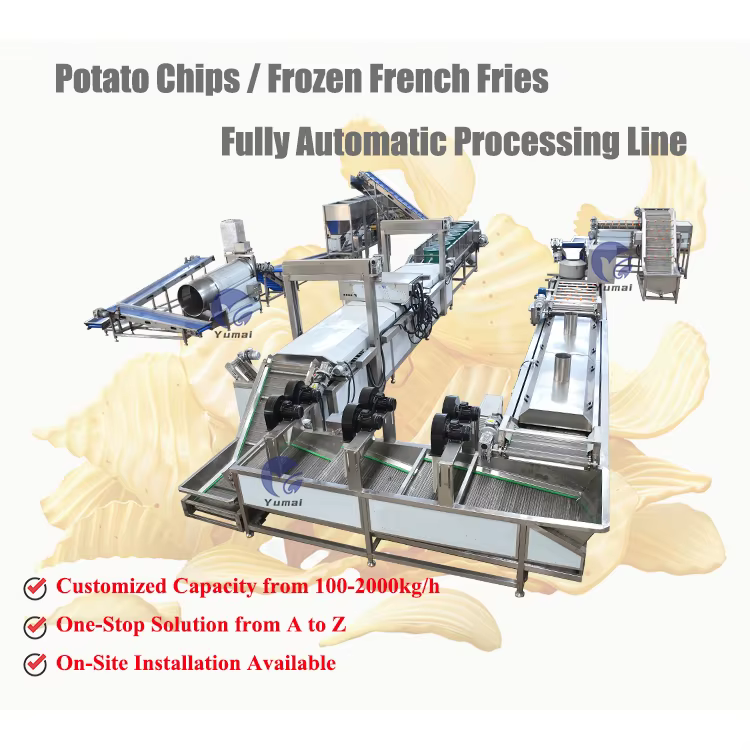 100kg 300kg 500kg 1000kg Full Automatic SUS 304 Frozen French Fries Making Machine Production Line — image 6