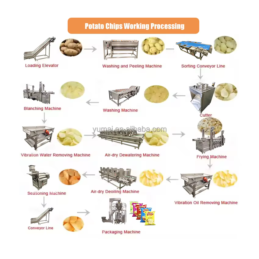 Fully Automatic Curly Fries Potato Wedge Making Line 100kg 300kg 500kg French Fries Production Line — image 4