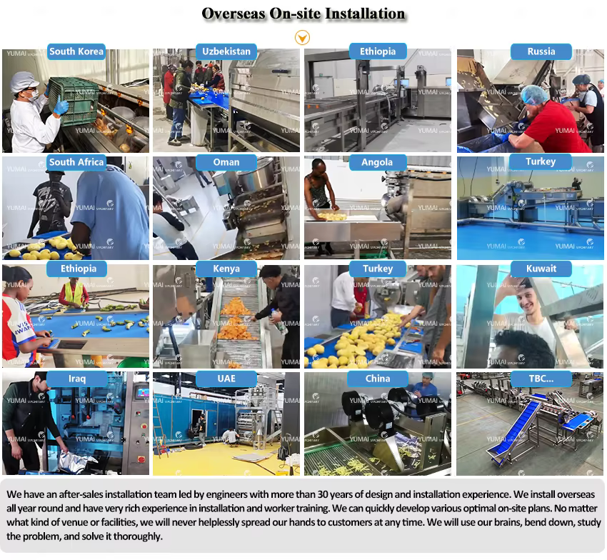 Complete Set Automatic Fresh French Fries Potato Chips Making Machine Potato Crisp Processing Line From Direct Factory — image 6