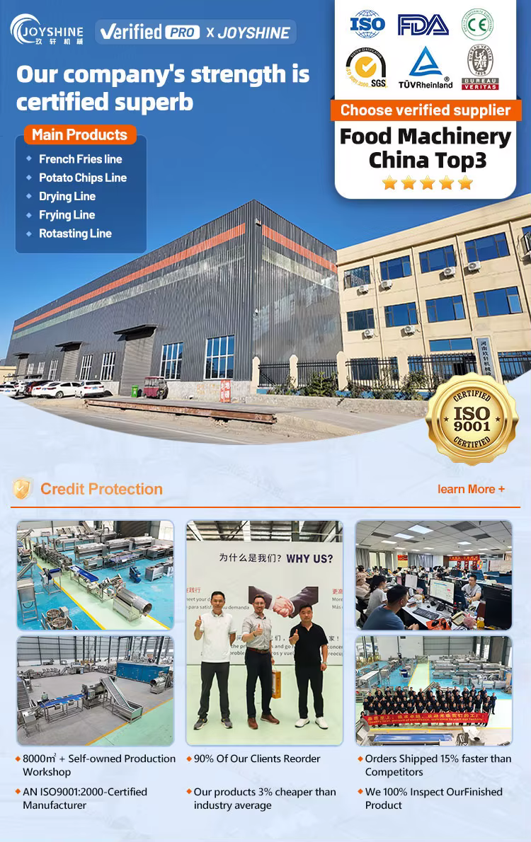 1000kg/h Automatic French Fries Line Plantain Chips Machine Fruit Washing Line Electronic Component — image 2