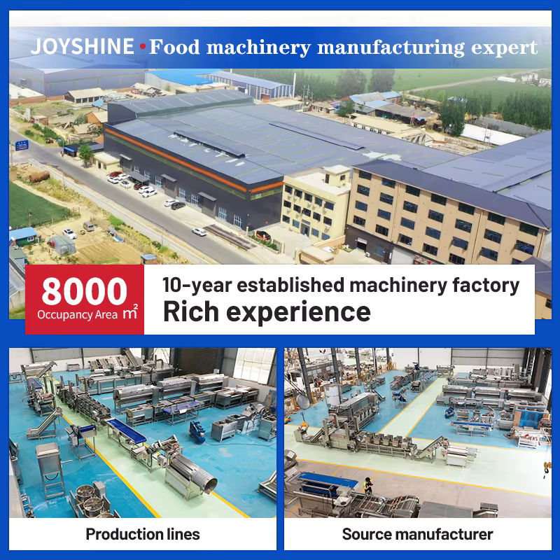 Customized 100kg/h Capacity French Fries and Potato Chips Production Line Food Processing Machines for Frozen Snacks Making — image 6
