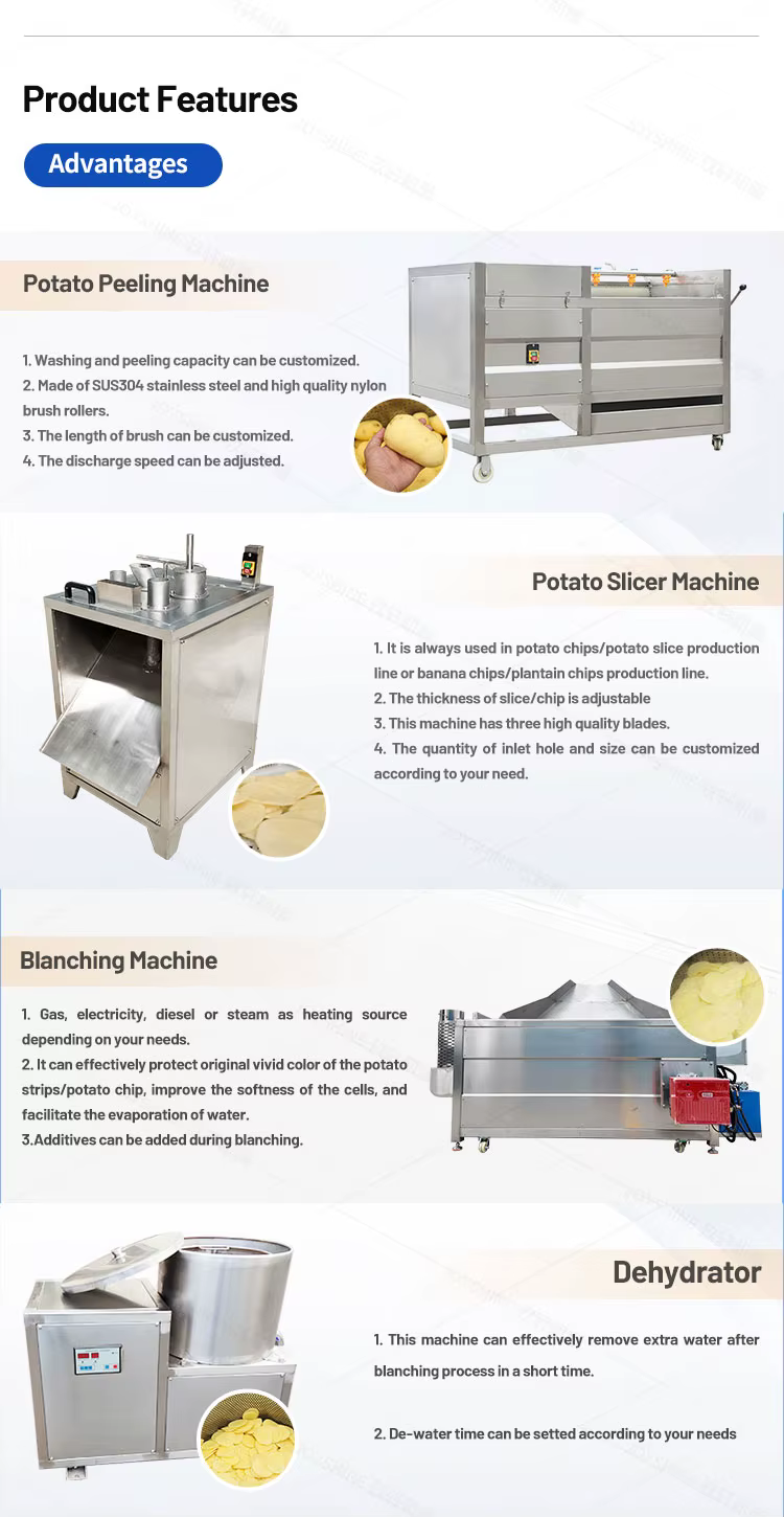 Semi-Automatic 150~300kg/hr Industrial French Fries Production Line Sales Seasoning Machine for Potato Fry Processing — image 5