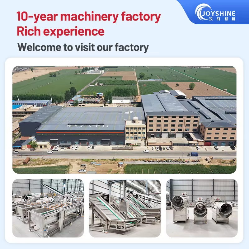 Complete Plantain Chips Making Line Automatic Plantain Chips Production Line Plantain Chips Slicing Machine Manufacturer — image 5