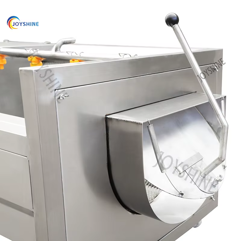 Small Scale 300kg/h Industrial Use Carrot Radish Cleaning Machine With Soft Brushes — image 3