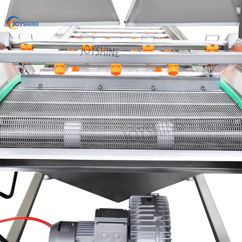 Automatic Conveyor Belt Industrial Apple Lemon Fruit Vegetable Washer Machine Lavadora De Frutas — image 4