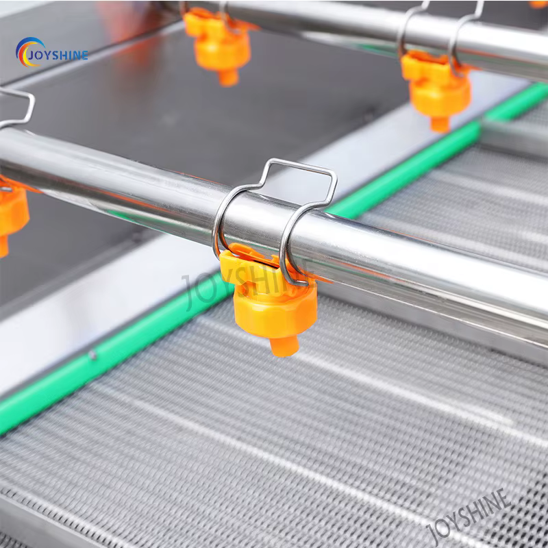 Automatic Conveyor Belt Industrial Apple Lemon Fruit Vegetable Washer Machine Lavadora De Frutas — image 5