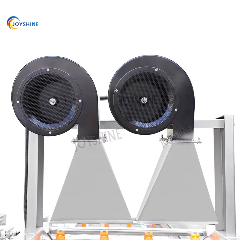 Automatic Conveyor Belt Industrial Apple Lemon Fruit Vegetable Washer Machine Lavadora De Frutas — image 6