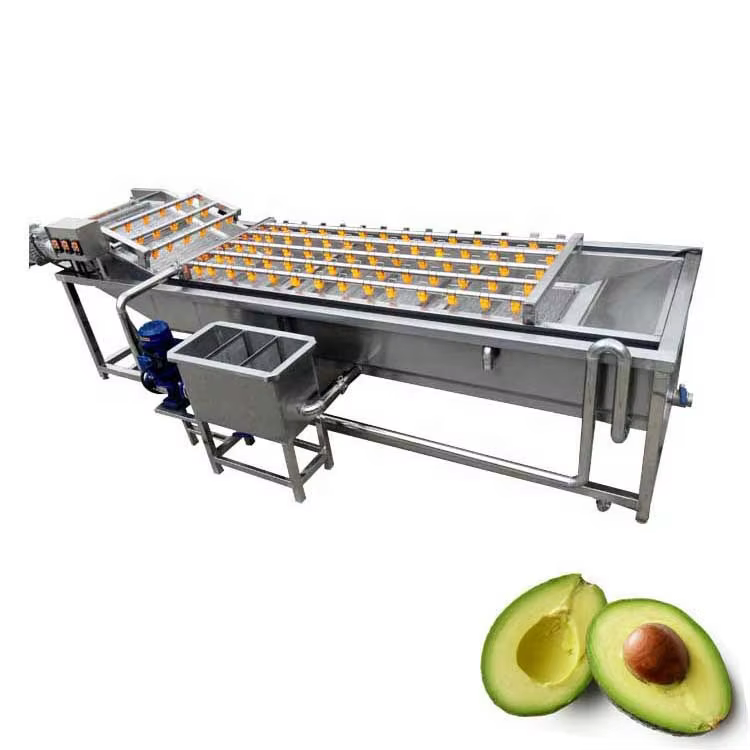 Lavadora De Frutas Y Verdura Air Bubble Broccoli Cleaner Eggplant Cleaner Machine — image 2