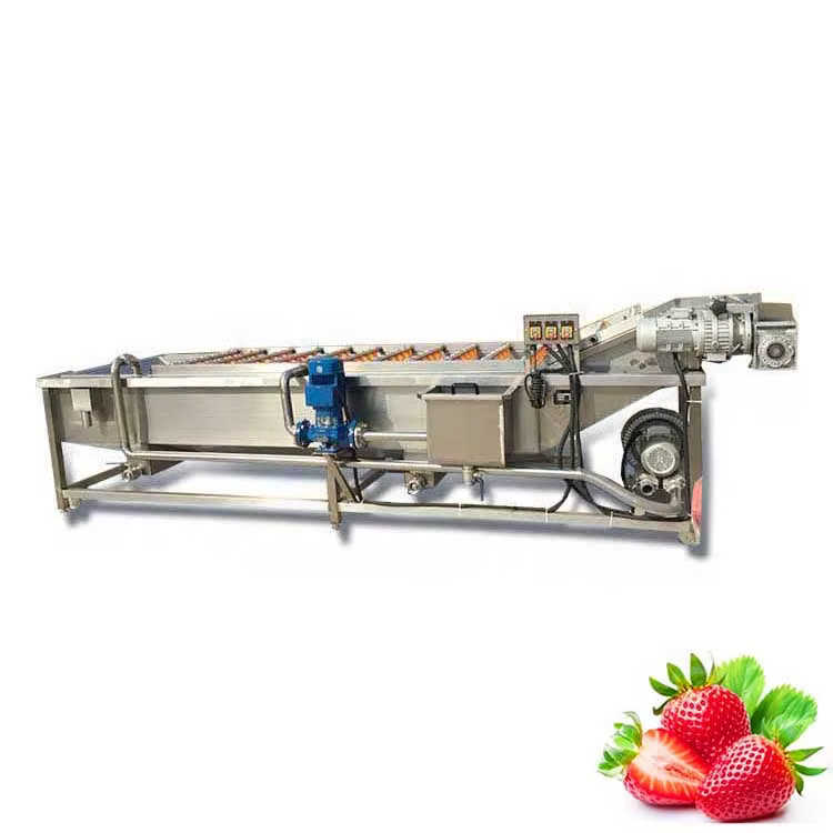 with Automatic Conveyor Belt Industrial Use 1000kg/h Fruit Vegetable Washer Machine — image 4