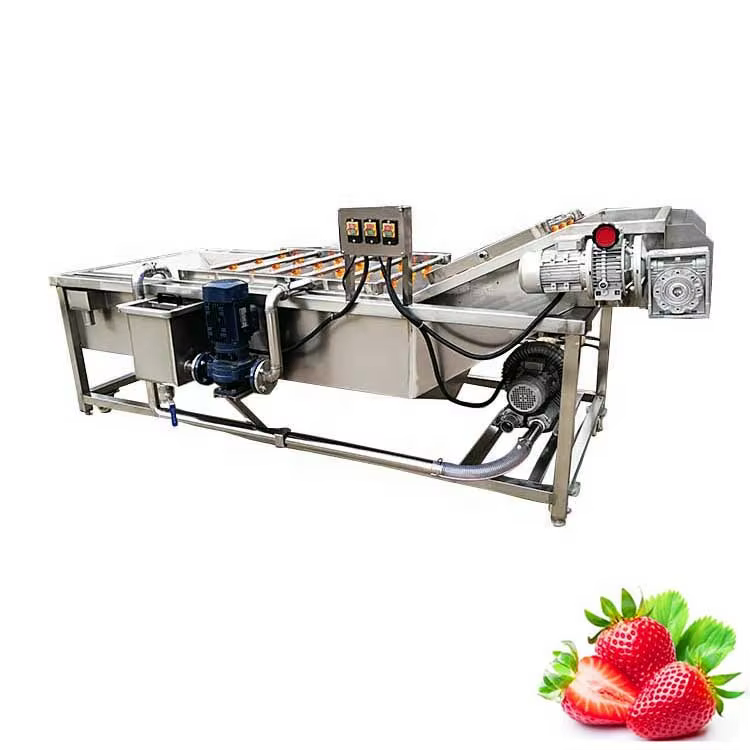 with Automatic Conveyor Belt Industrial Use 1000kg/h Fruit Vegetable Washer Machine — image 5