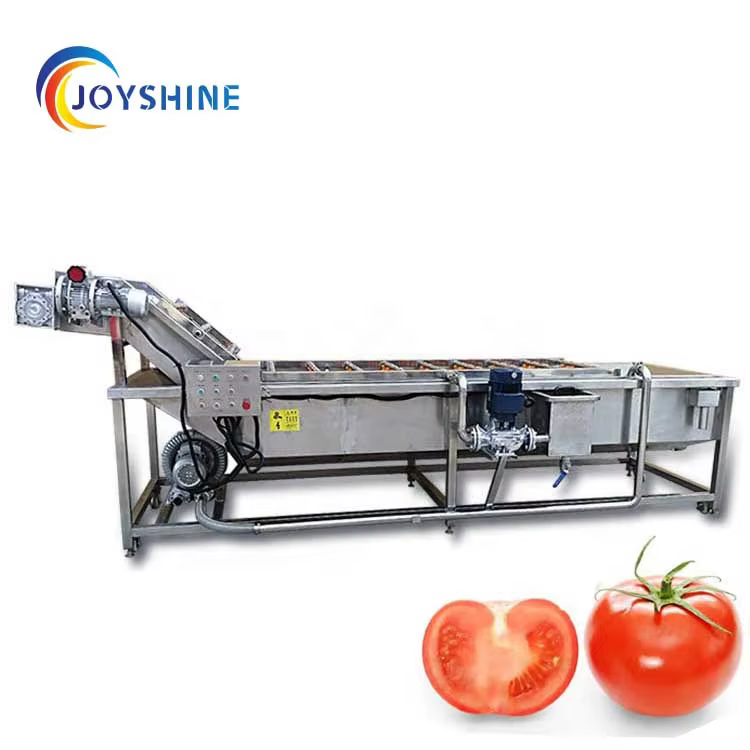 with Automatic Conveyor Belt Industrial Use 1000kg/h Fruit Vegetable Washer Machine — image 6