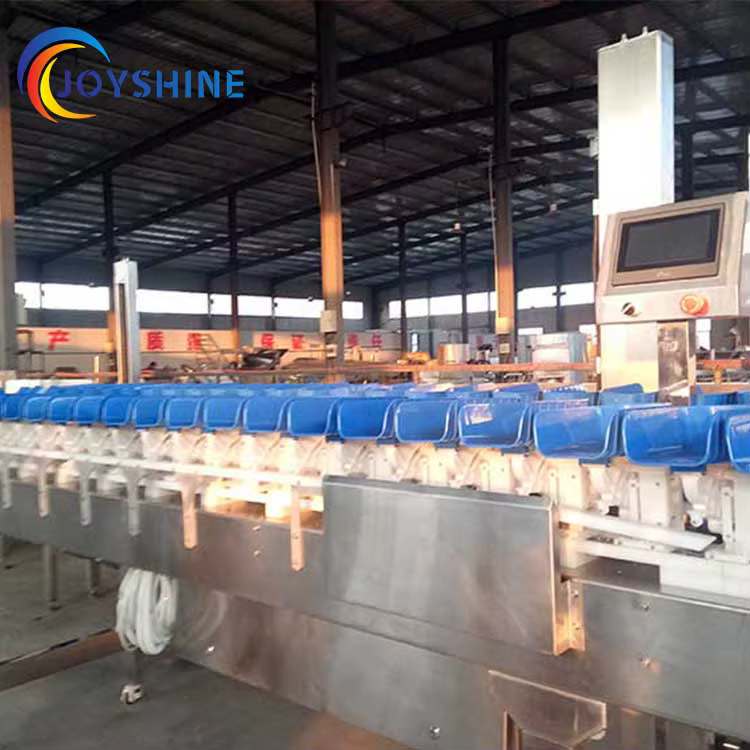 New Design Avocado Grader Grading Machine Weighing Sorting Machine — image 3