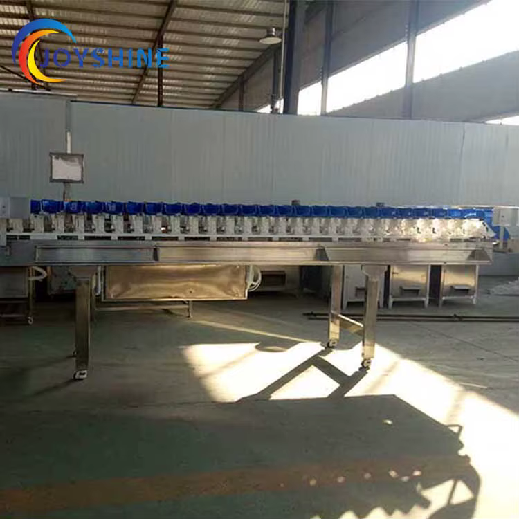New Design Avocado Grader Grading Machine Weighing Sorting Machine — image 4