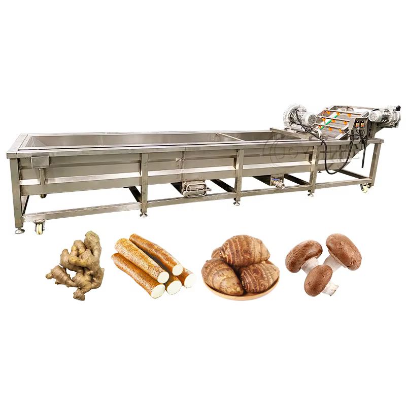 JOYSHINE Machinery Factory Supply Industrial Guava Citrus Fruit Brush Ozone Disinfecting Bubble Washing Production Line — image 2