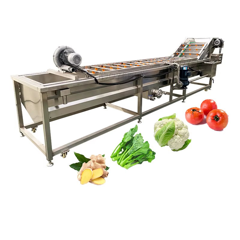 JOYSHINE Machinery Factory Supply Industrial Guava Citrus Fruit Brush Ozone Disinfecting Bubble Washing Production Line — image 6