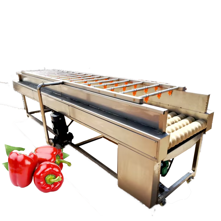 JOYSHINE Group Exported to USA 500kg Per Hour Washing Production Line mango Washing Machine — image 3