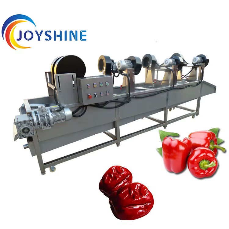 JOYSHINE Group Exported to USA 500kg Per Hour Washing Production Line mango Washing Machine — image 4