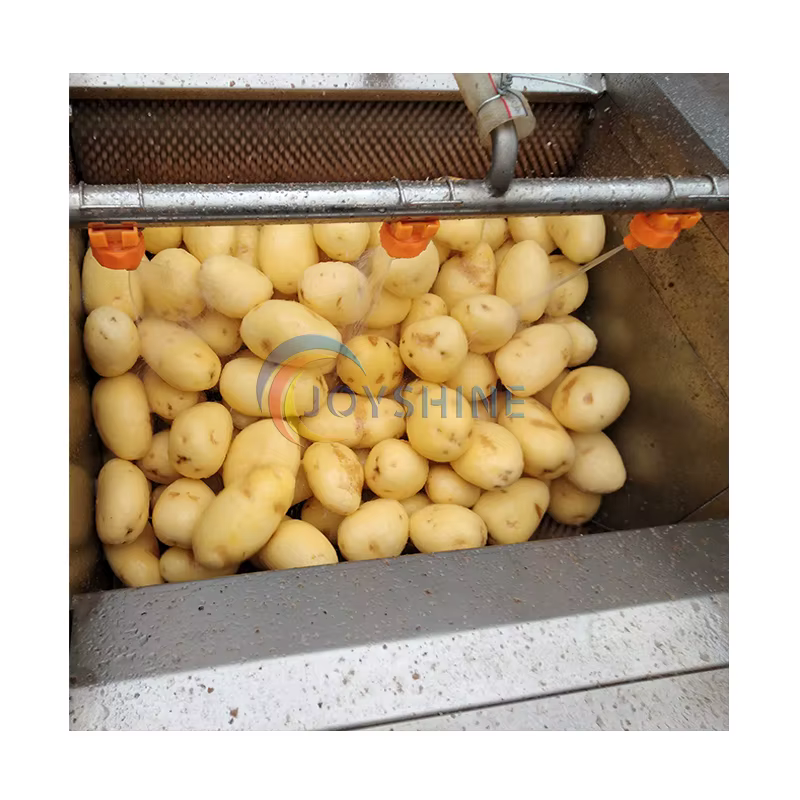 Joyshine Machinery Automatic Kitchen Equipment Carrot Garlic Potato Brush Type Washing Peeling Machinery — image 2