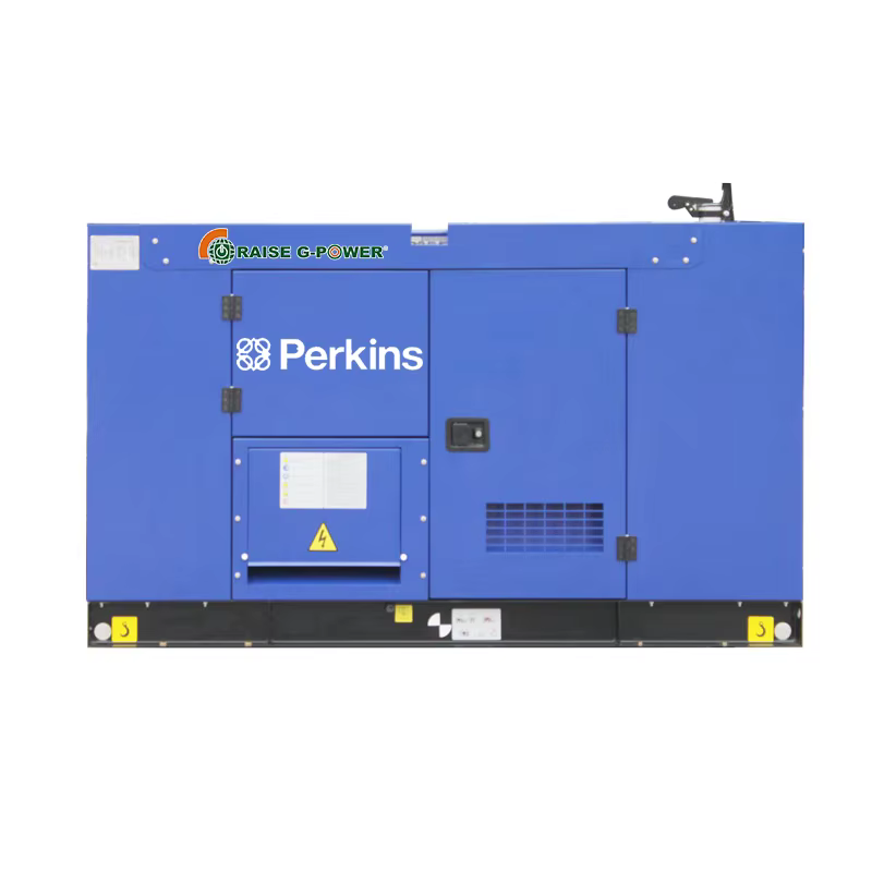 16kVA Silent Diesel Generator 10kW 60Hz 1500RPM Remote Start AC 1/3 Phase RZ10GF Model — image 6