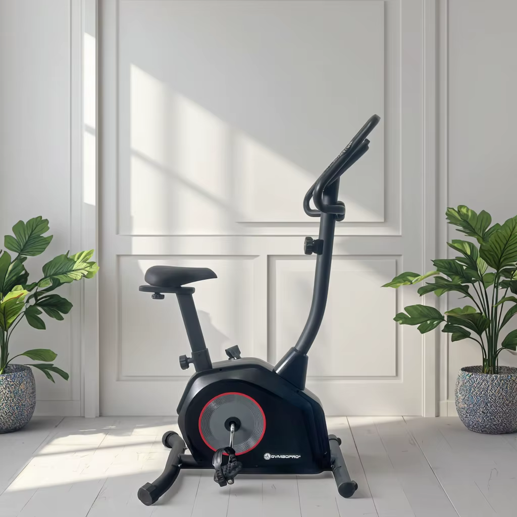 Gymbopro Gym Bicycle Home Gym Fitness Cycle Exercise Bike for Indoor Training — image 2